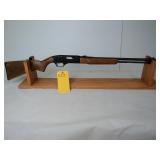 Winchester Mod 190 .22 cal