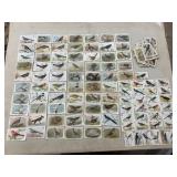 Arm & Hammer Bird Cards. 2 x 3 In Each