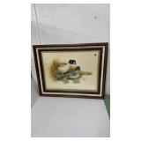 Common Goldeneye Duck Print by Don Whitlatch