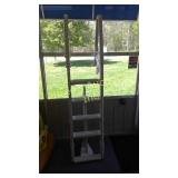 Pool ladder Pool ladder