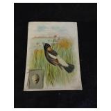 Singer Sewing Machine Advertisement Reading Penn