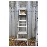 Davidson 6Ft Folding Aluminum Ladder