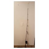 Quantum Combo Fishing Pole