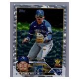 Bobby Witt Jr. Silver Pattern