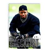 Ken Griffey, Jr. Checklist