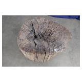 Tree Stump