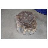 Tree Stump