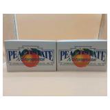 2 1:64 Scale PeachState Motorsports Transporters