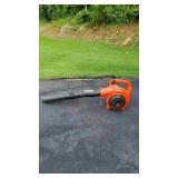 Echo PB-250LN Blower