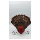Wild Turkey Tail Fan Taxidermay Wall Mount