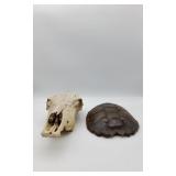 Cattle Skull & Turtle Shell