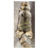 Coyote hide