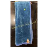 V.I.P. Mink Blanket queen size needs cleaned