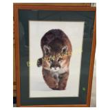 1999 Lion in Winter photo by Gary Crandall-