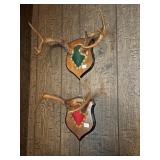 Deer Antlers 8 points