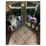 Misc. Cleaning Supplies In Cabinet