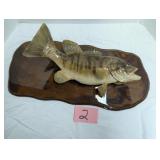 Taxidermy of Bass Fish