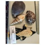 3 Decorative Sea Shell and Christmas Ornament