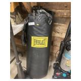Everlast Punching Bag