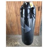 Century Punching Bag