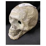 Paper Mache Skull