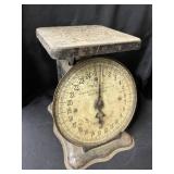 25 Pound Scale