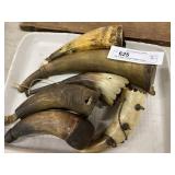 19th & 20th Century Powder Horns
