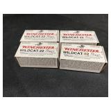 About 200 Rounds of 22 LR Ammunition