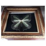 Criss Cross Framed Butterfly