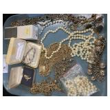 Costume Jewelry- Necklaces & Pins