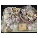 Decorative Sea Shells