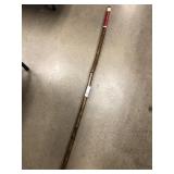 Early Tree Limb Form Walking Stick