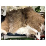 Tan White Tail Deer Hide