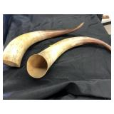 Pair Of Horns