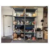 Shelves with Contents