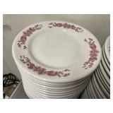 65+ 9-1/2" Jackson China Plates