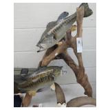 Taxidermy Largemouth Bass