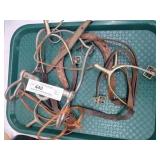 Reenactors Civil War Bridle & Spurs
