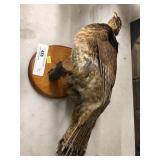 Ruffed Grouse Mounted