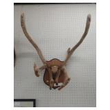 Caribou Horns in Felt on Plaque