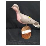 Painted Shorebird on Wooden Stump