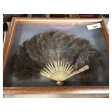 Framed Feather Fan