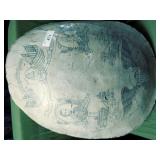 Composition Scrimshaw Carved Tortoise Shell