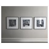 (3) Framed Photographs of Zebras