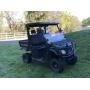 Landmaster LM300 UTV