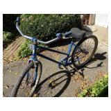 Schwinn Ladies Bicycle