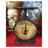 24lb Columbia Kitchen Scales