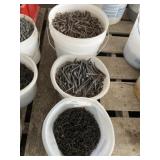Assorted Screws and Nails