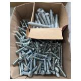 3" Carriage Bolts and Screw Lags