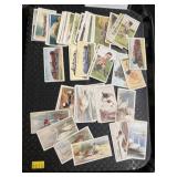 Cigarette Cards